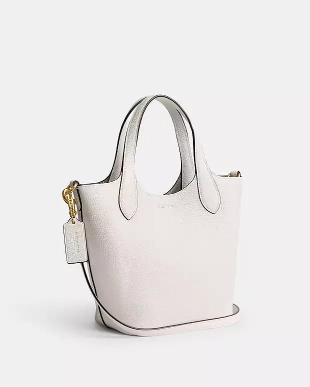 Coach Hanna Bucket Bag